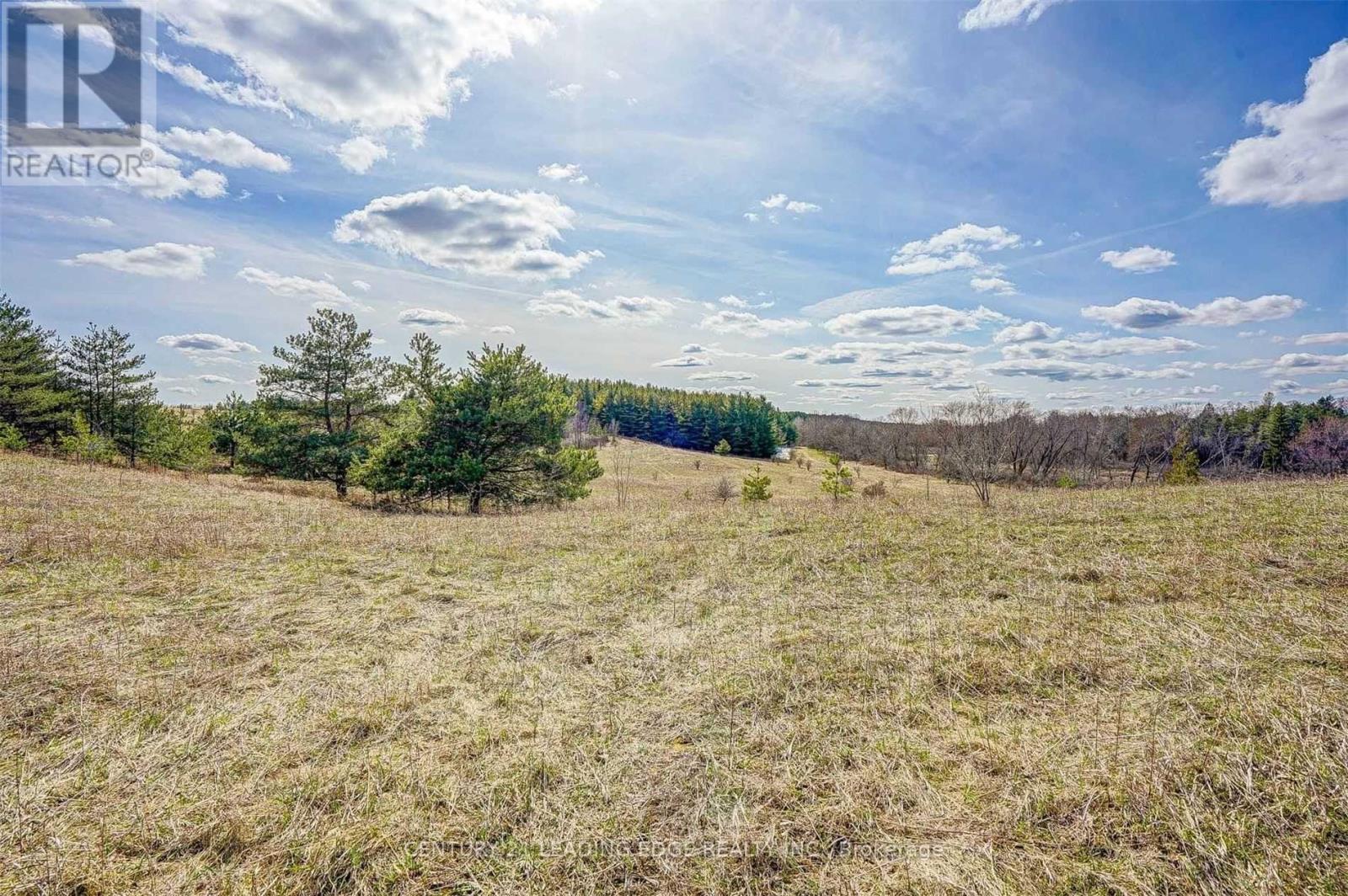 14466 Ninth Line Property Photo 9