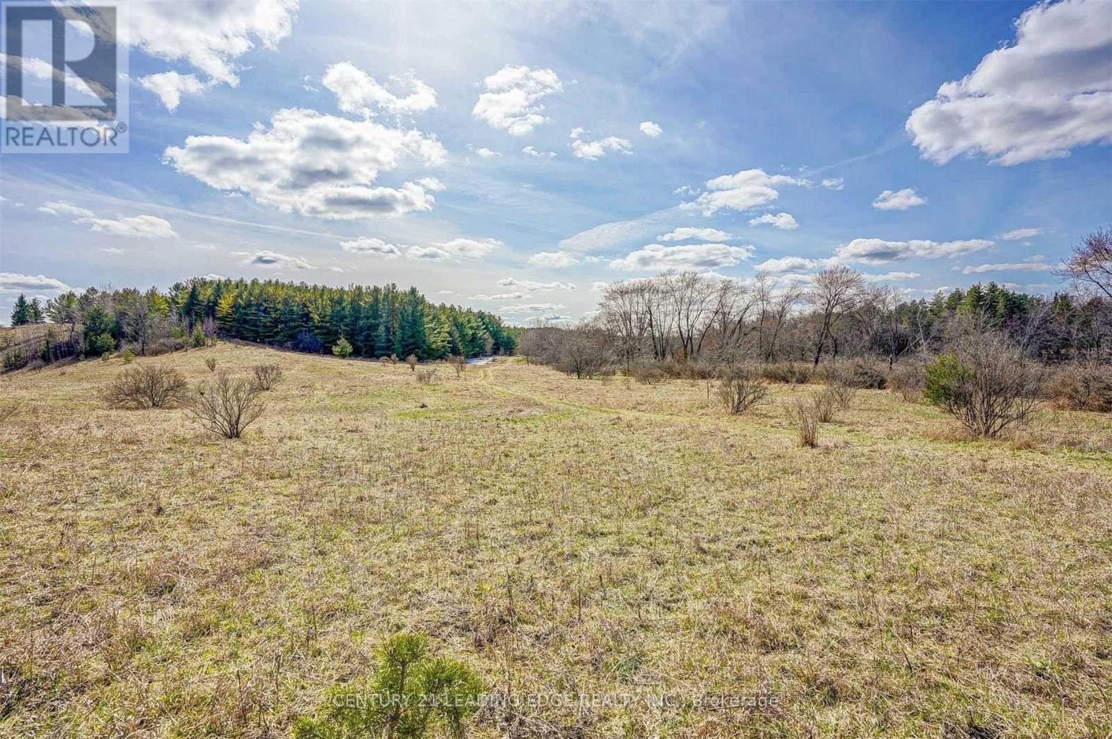 14466 Ninth Line Property Photo 18