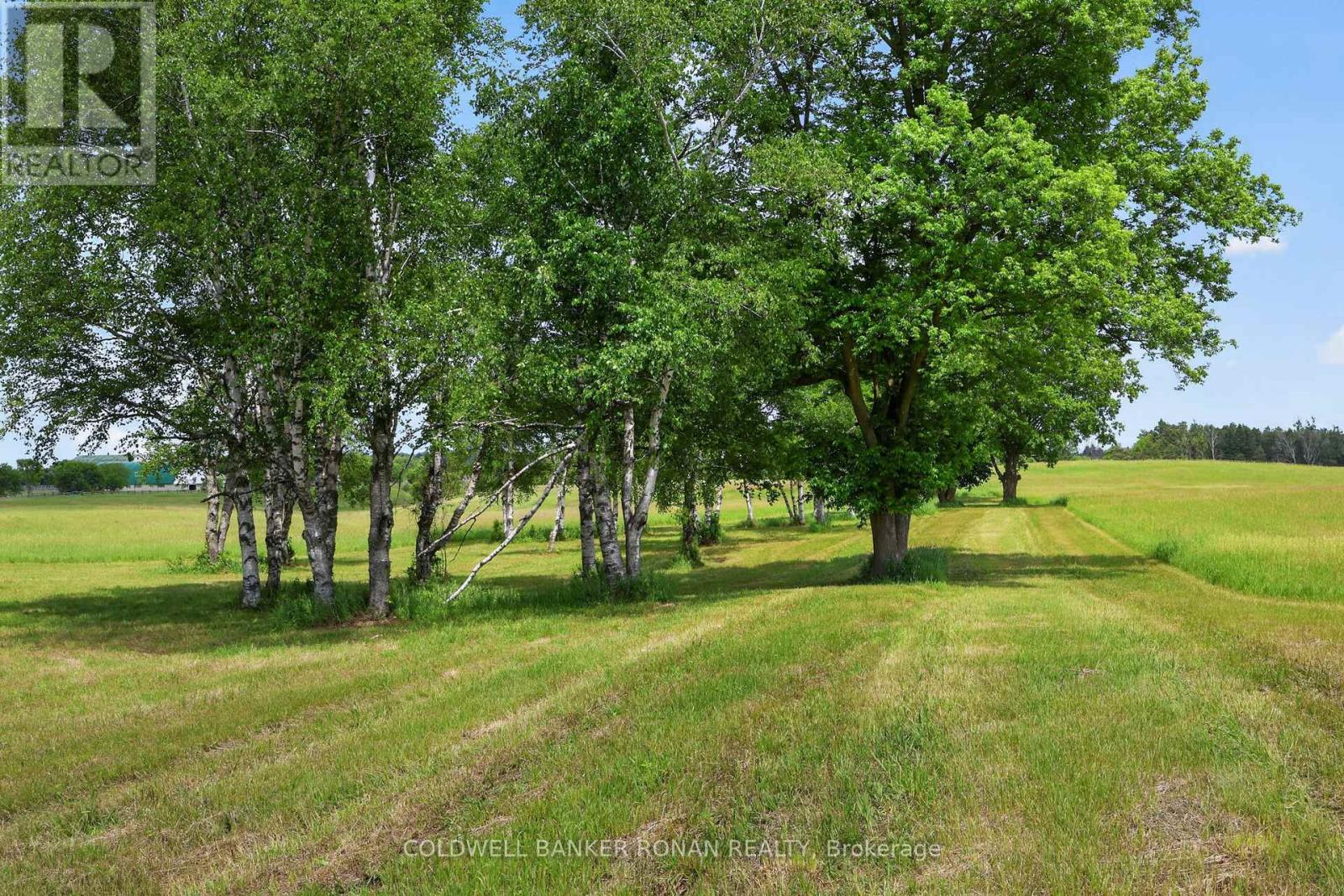 2362 Concession Rd 2 Property Photo 35