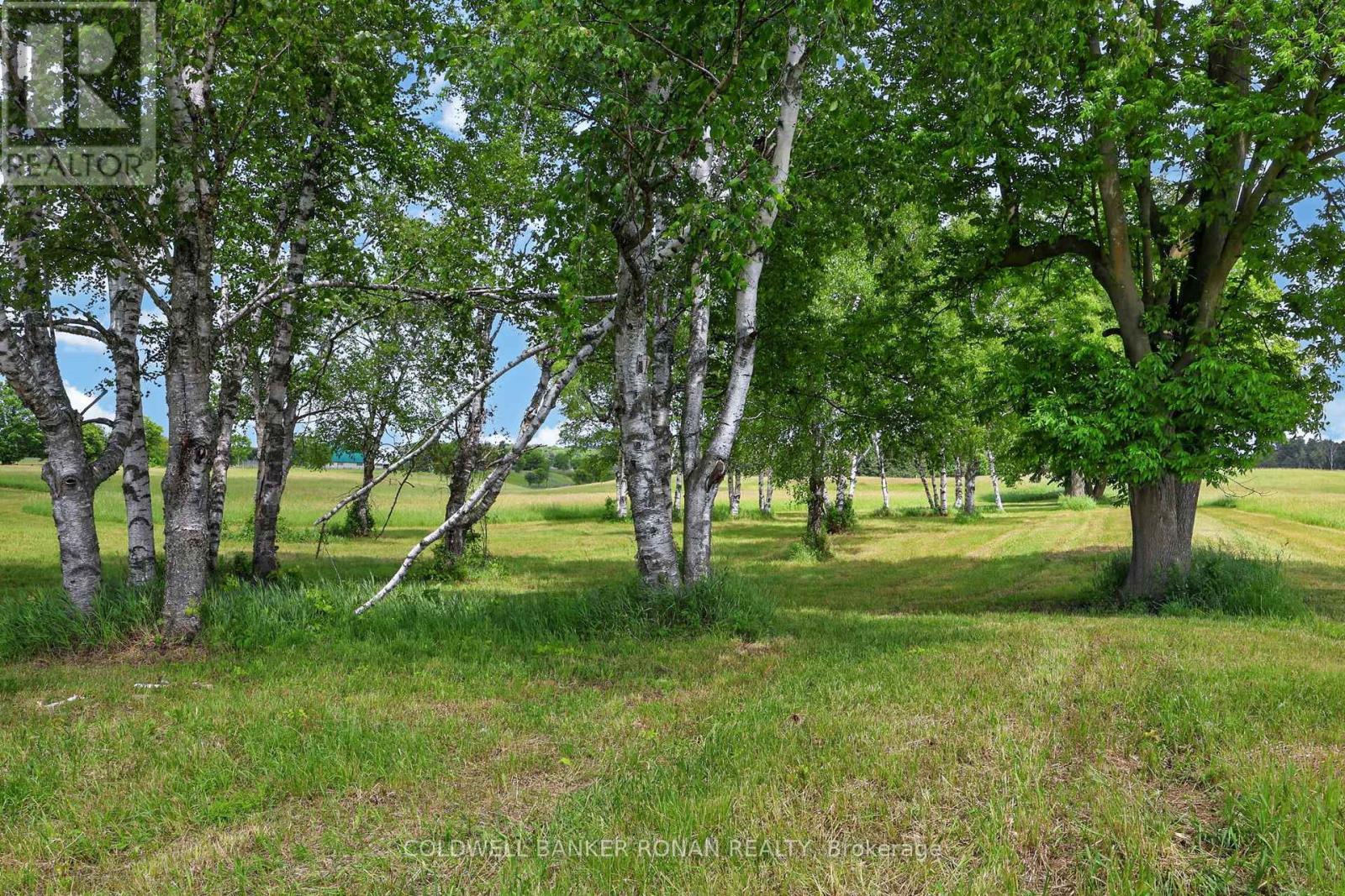 2362 Concession Rd 2 Property Photo 36