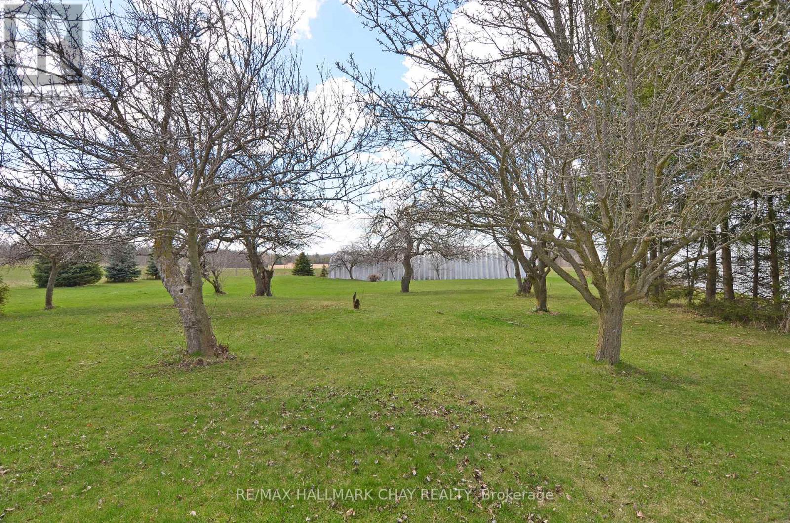 6280 County Rd 15 Property Photo 11