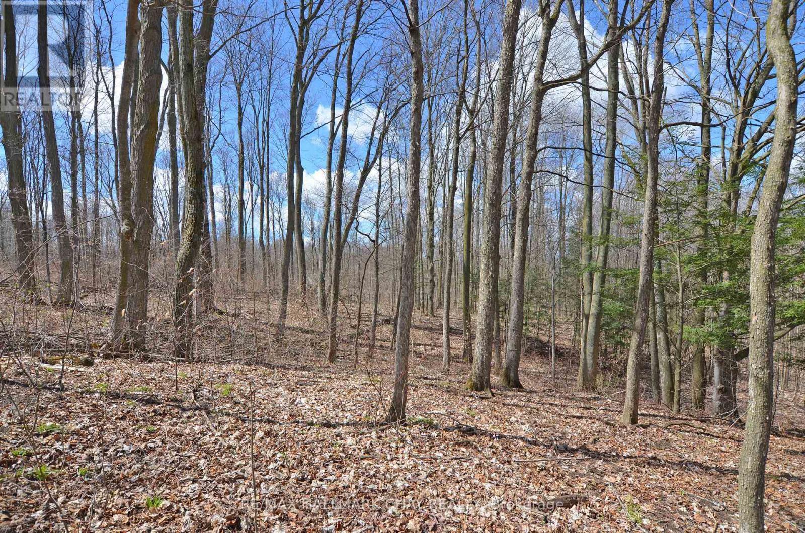 6280 County Rd 15 Property Photo 42