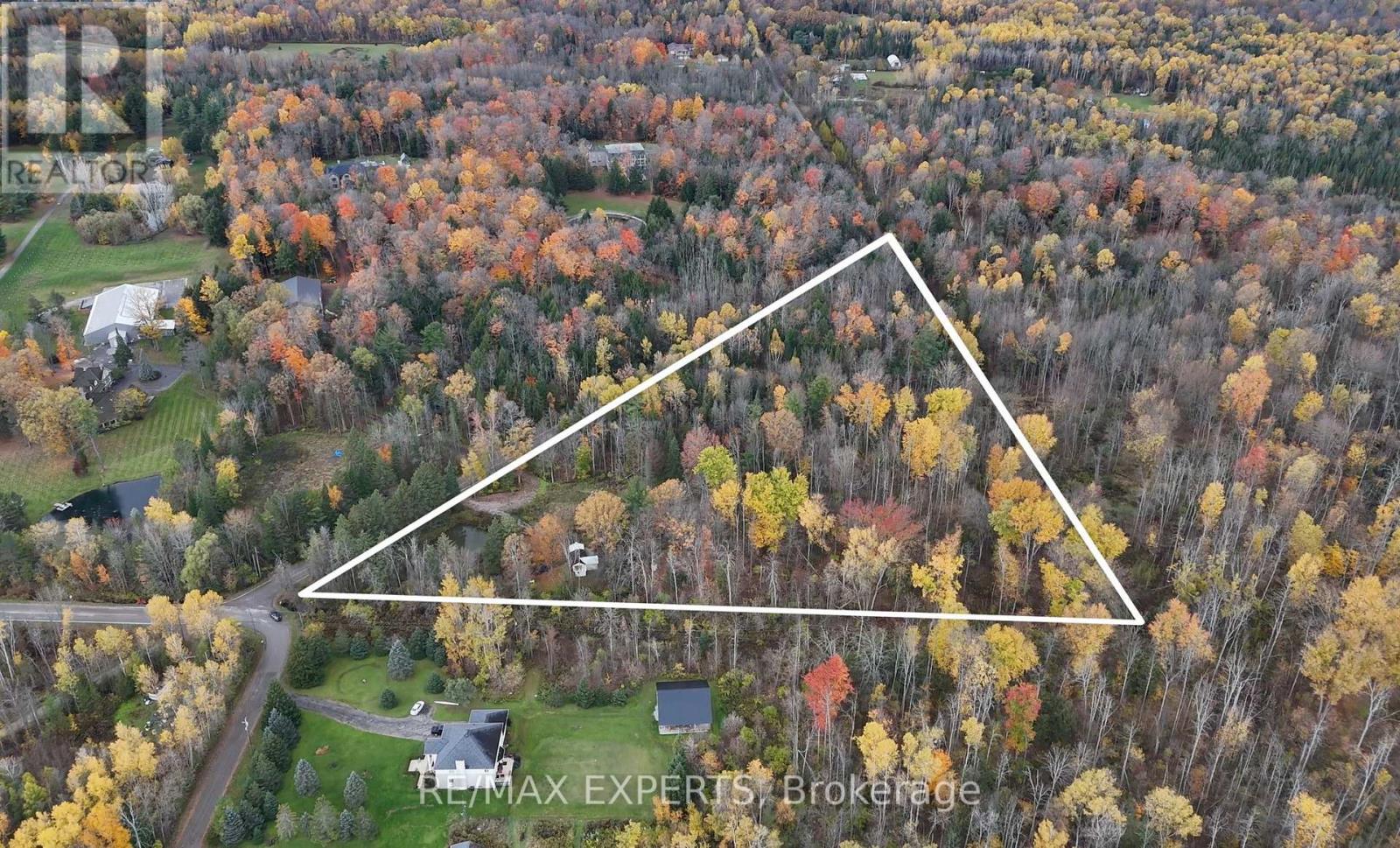 4530 19th Side Road Property Photo 6