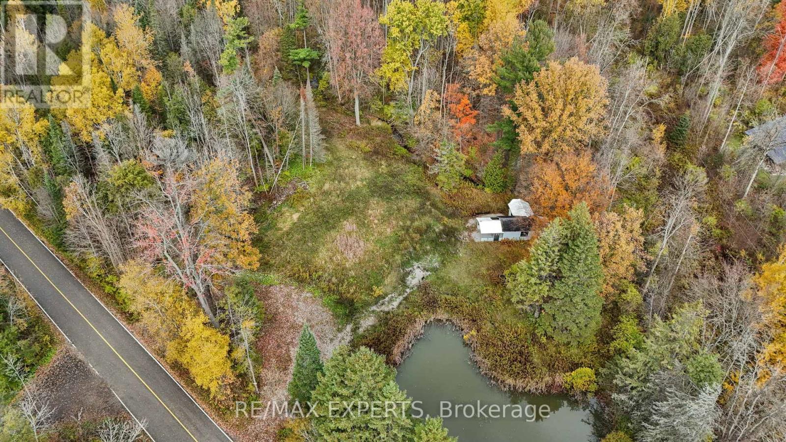 4530 19th Side Road Property Photo 11