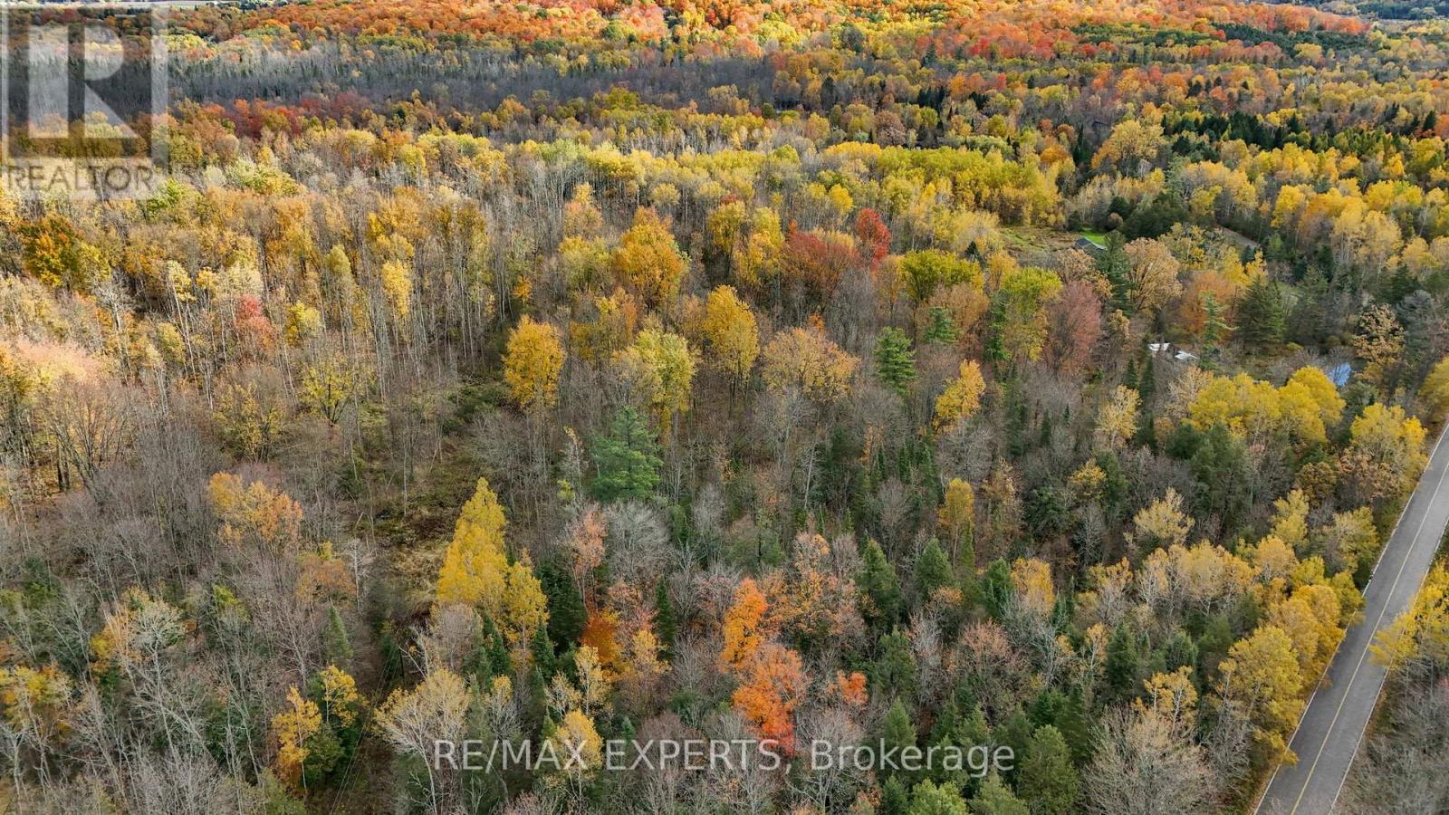 4530 19th Side Road Property Photo 12
