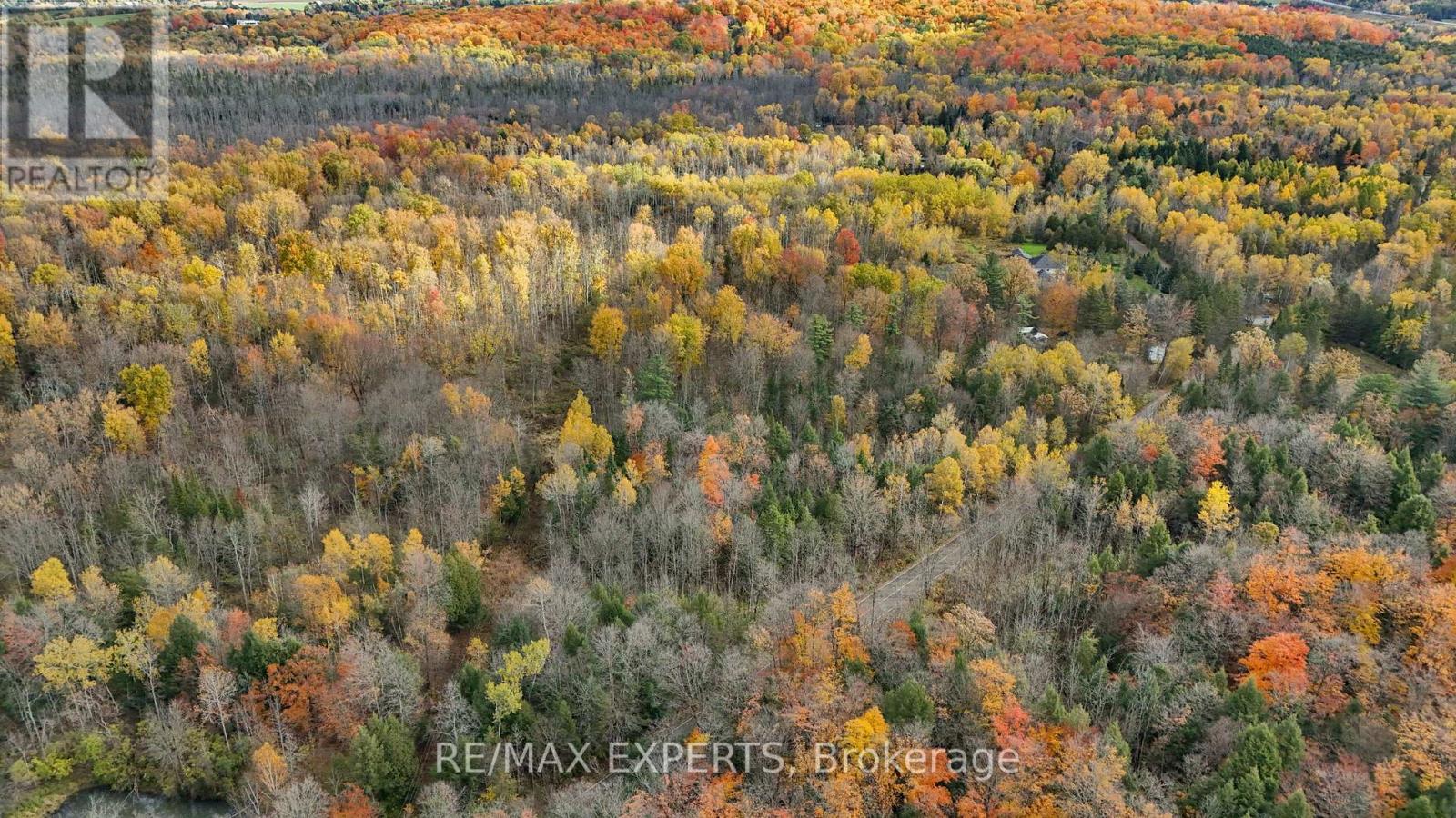 4530 19th Side Road Property Photo 13