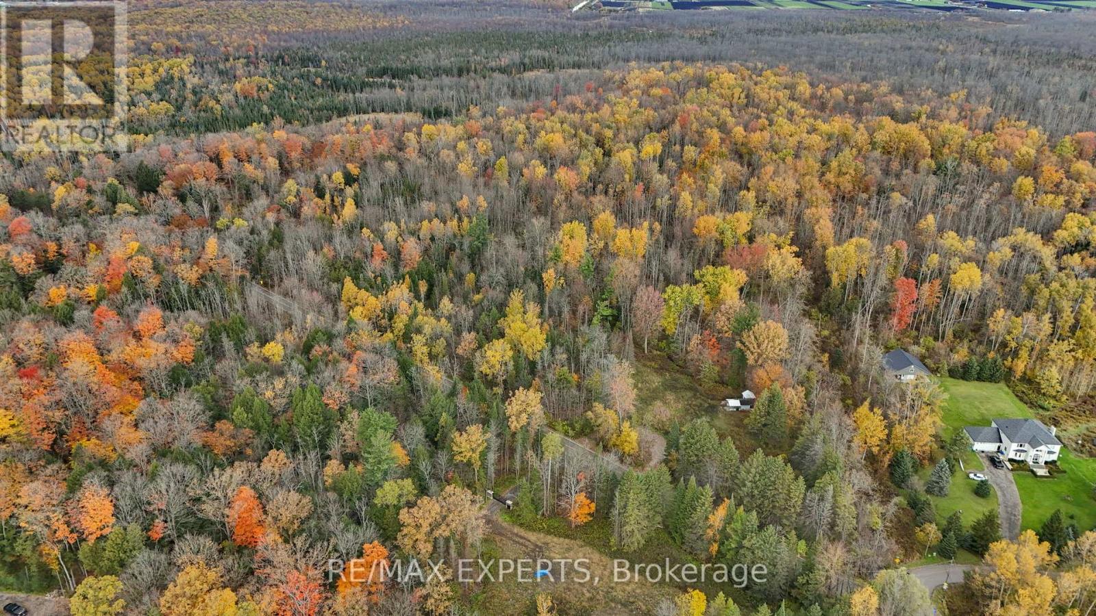 4530 19th Side Road Property Photo 14