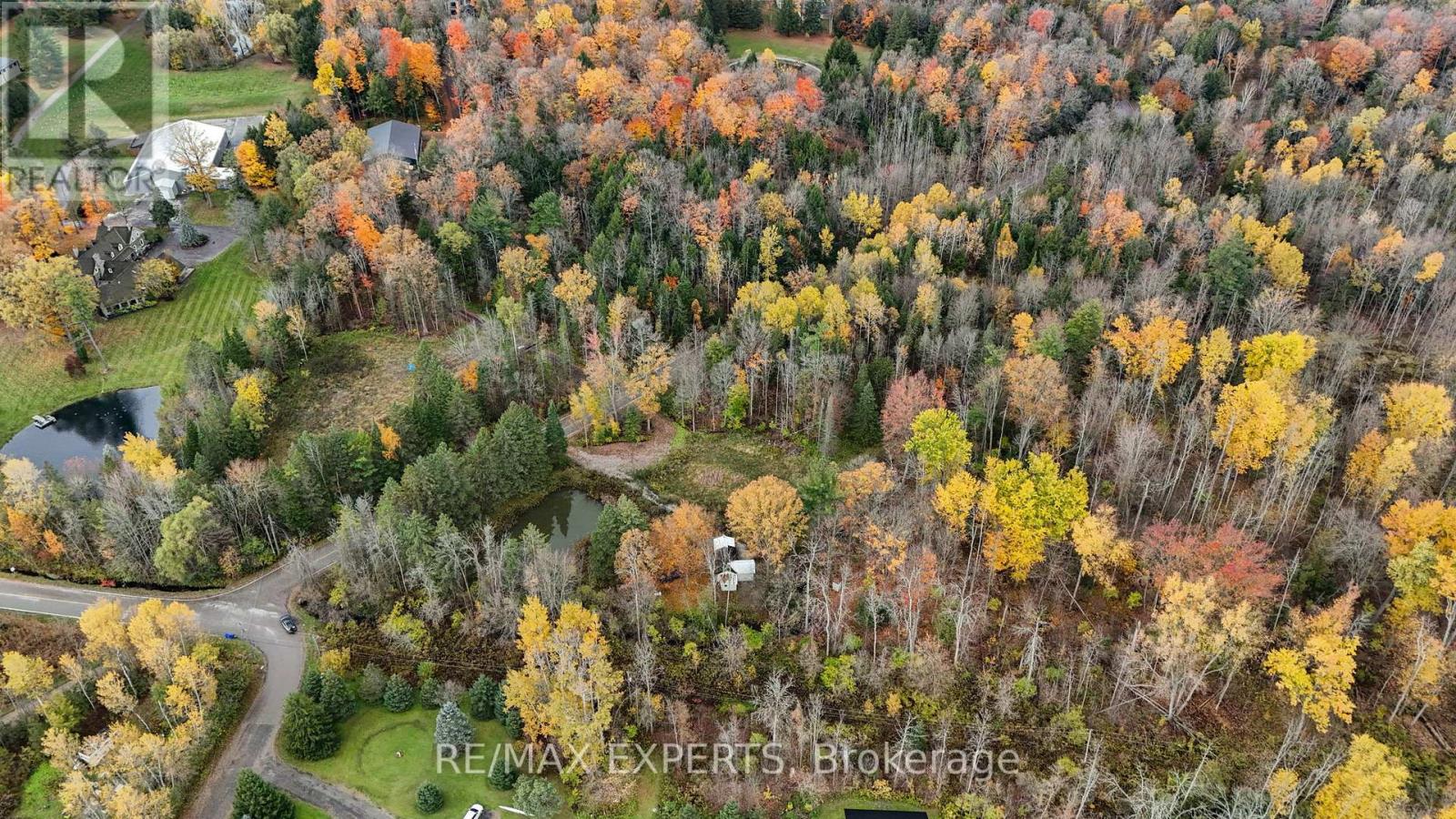 4530 19th Side Road Property Photo 16