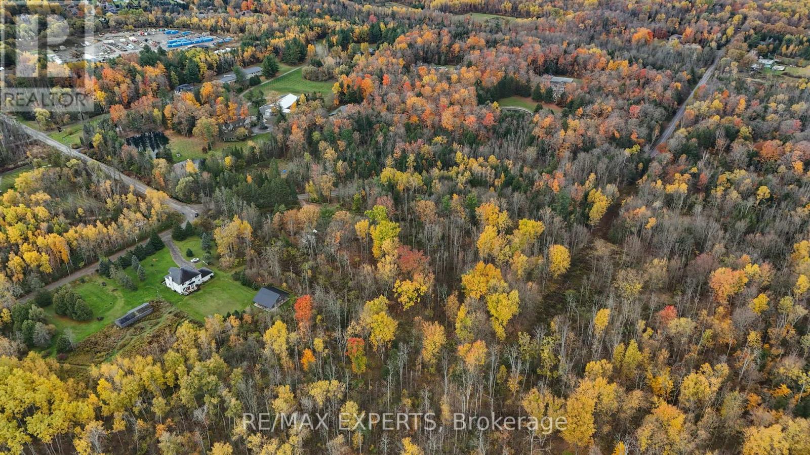 4530 19th Side Road Property Photo 18