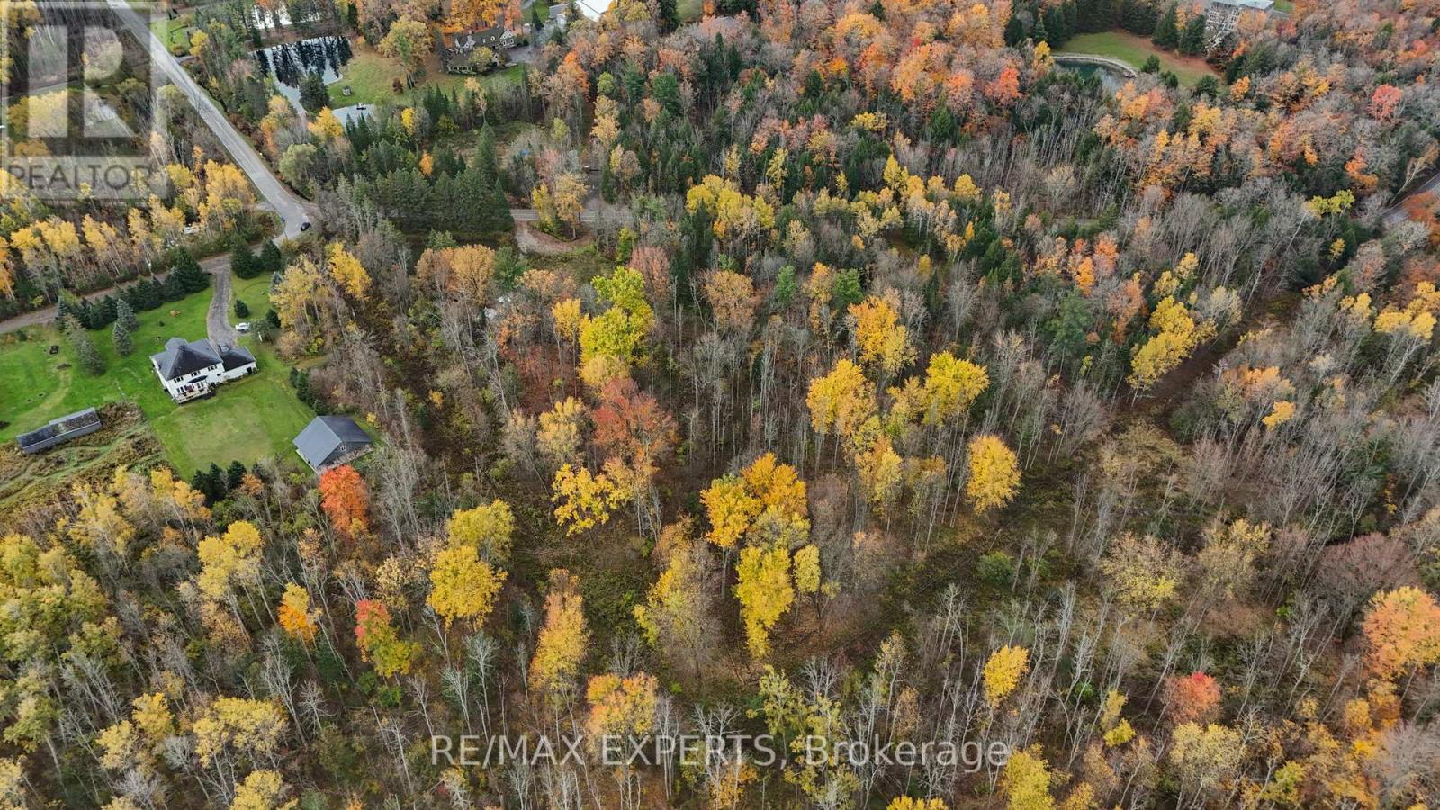 4530 19th Side Road Property Photo 19