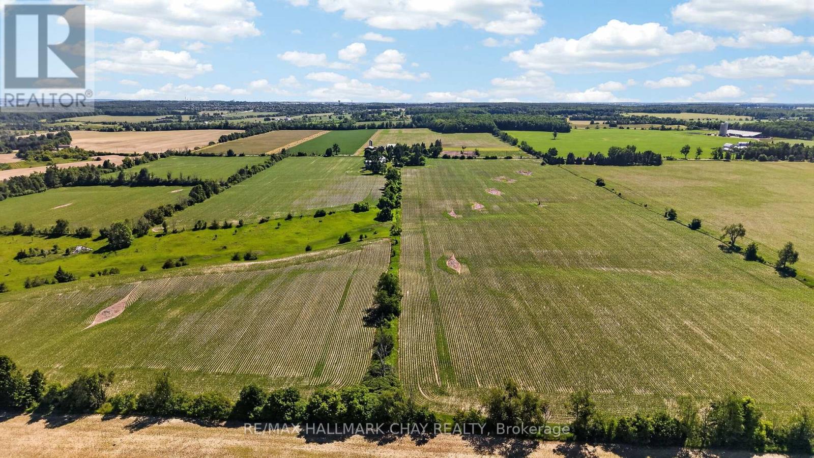 7874 10th Line Property Photo 41