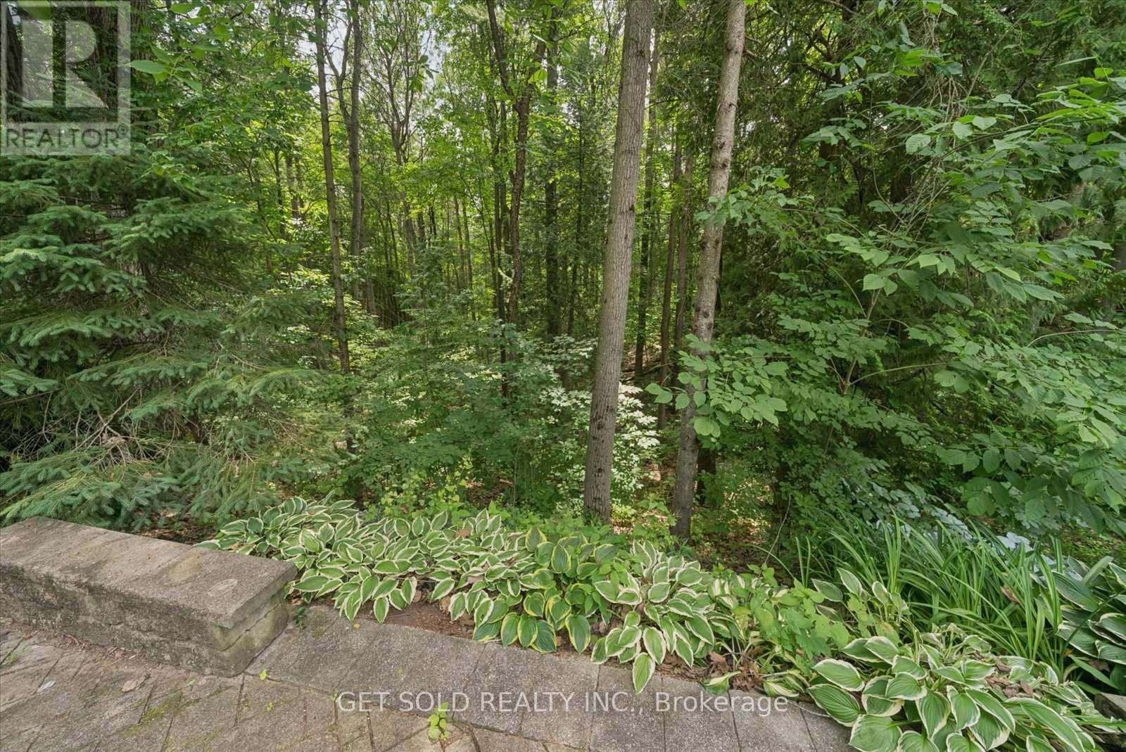 80 White Pine Trail Property Photo 14