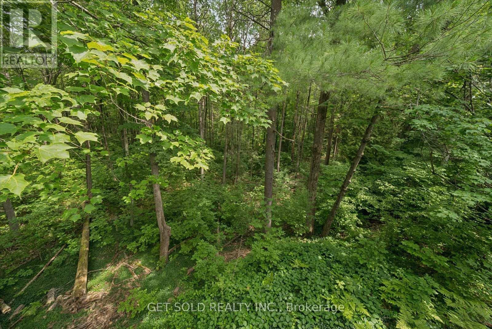 80 White Pine Trail Property Photo 15