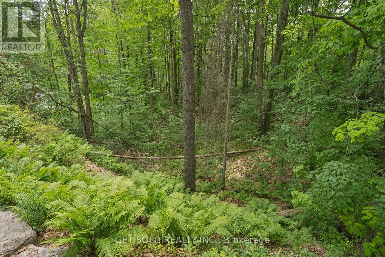 80 White Pine Trail Property Photo 16