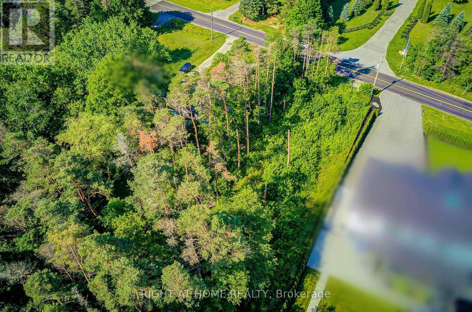 16895 Mccowan Road Property Photo 13