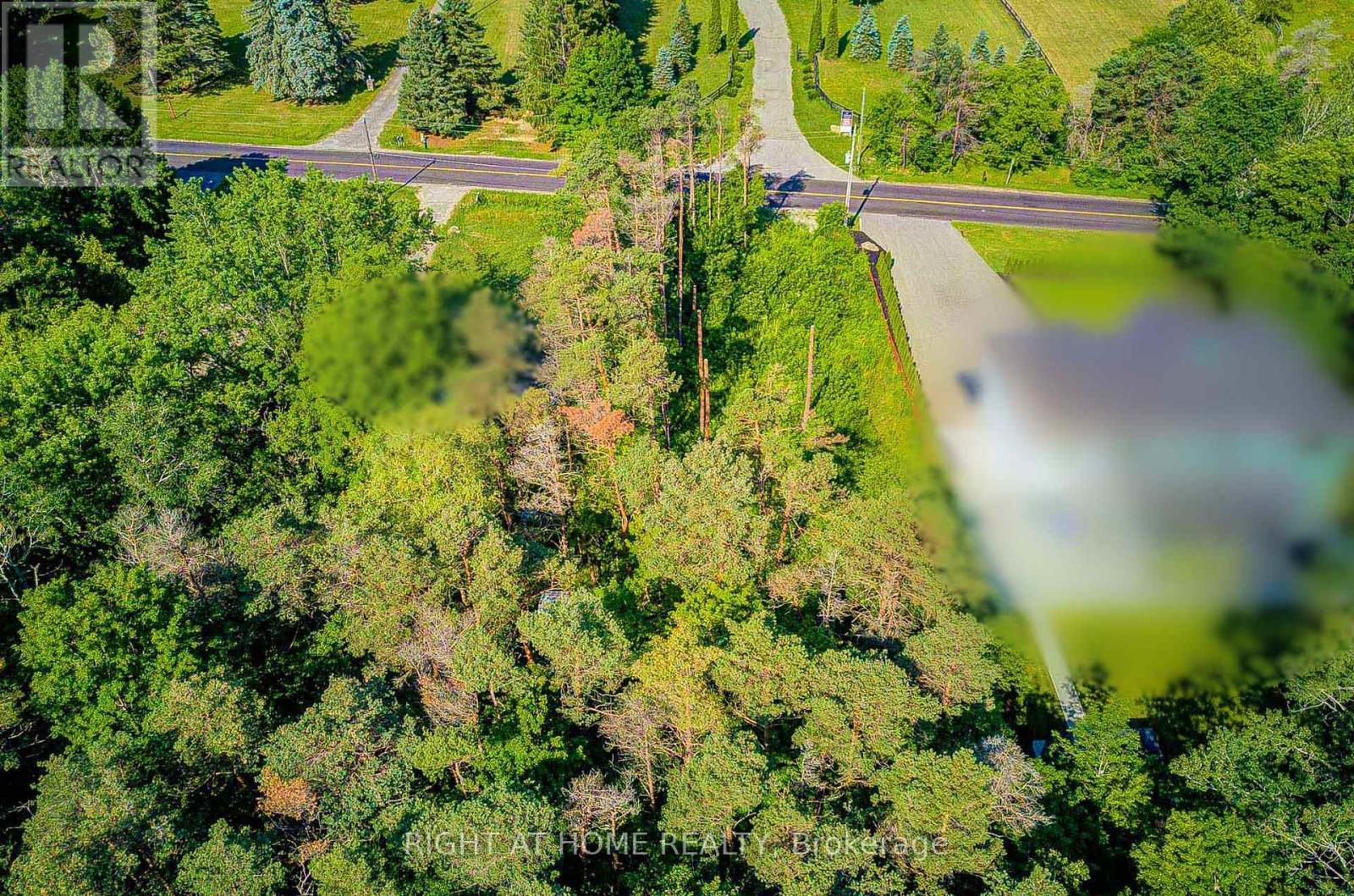 16895 Mccowan Road Property Photo 14