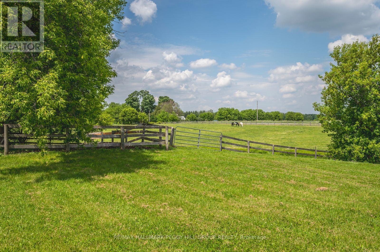 8464 6th Line Property Photo 26
