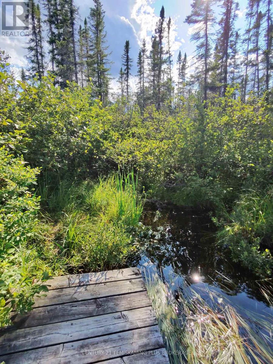 91927 Loonlake Drive Property Photo 13