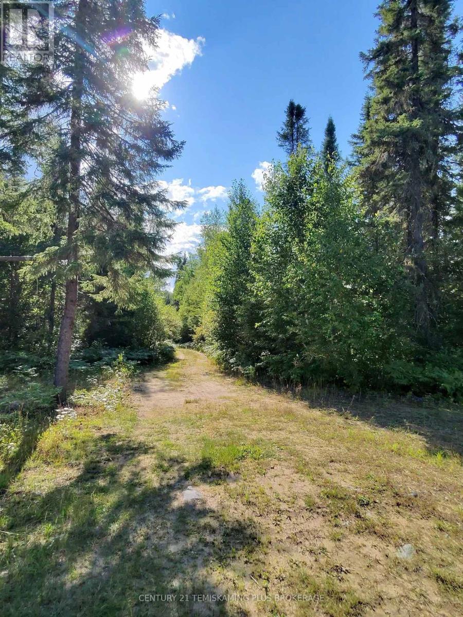 91927 Loonlake Drive Property Photo 21