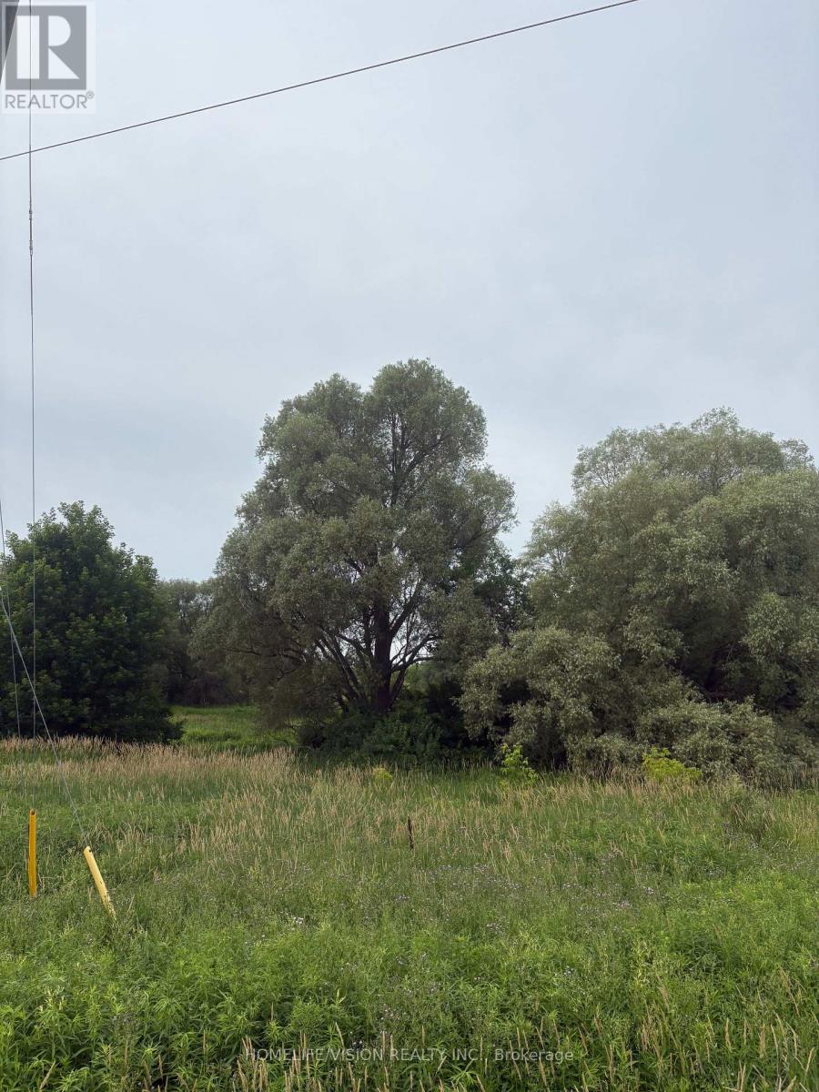 0 Highway 89 Property Photo 5