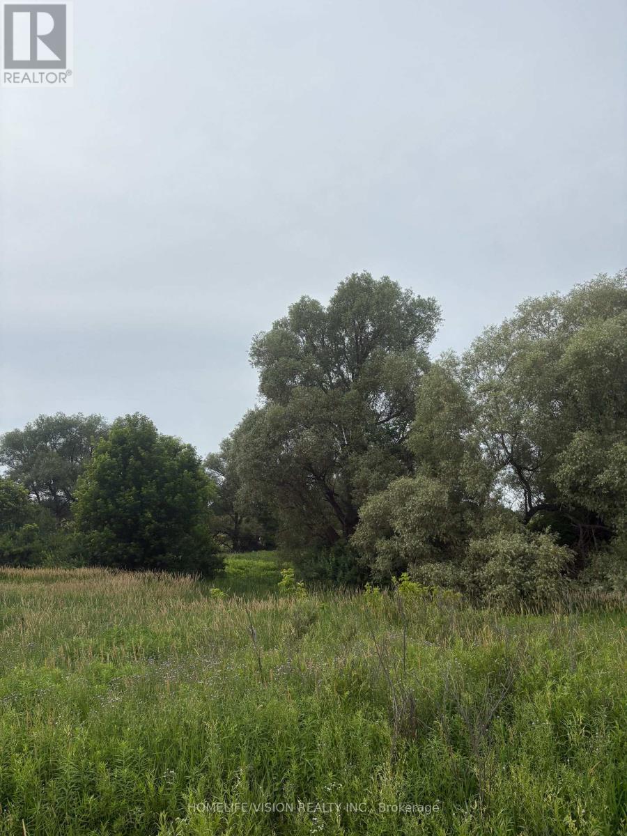 0 Highway 89 Property Photo 6