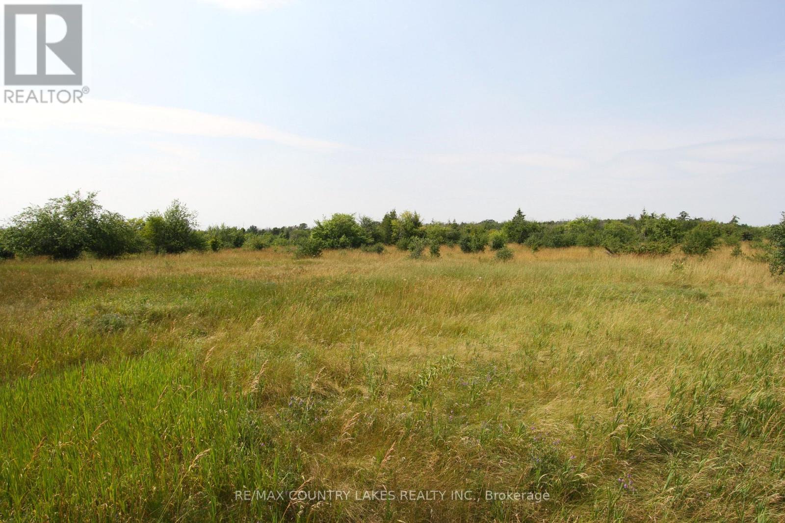 Lt7 County Road 48 Property Photo 5