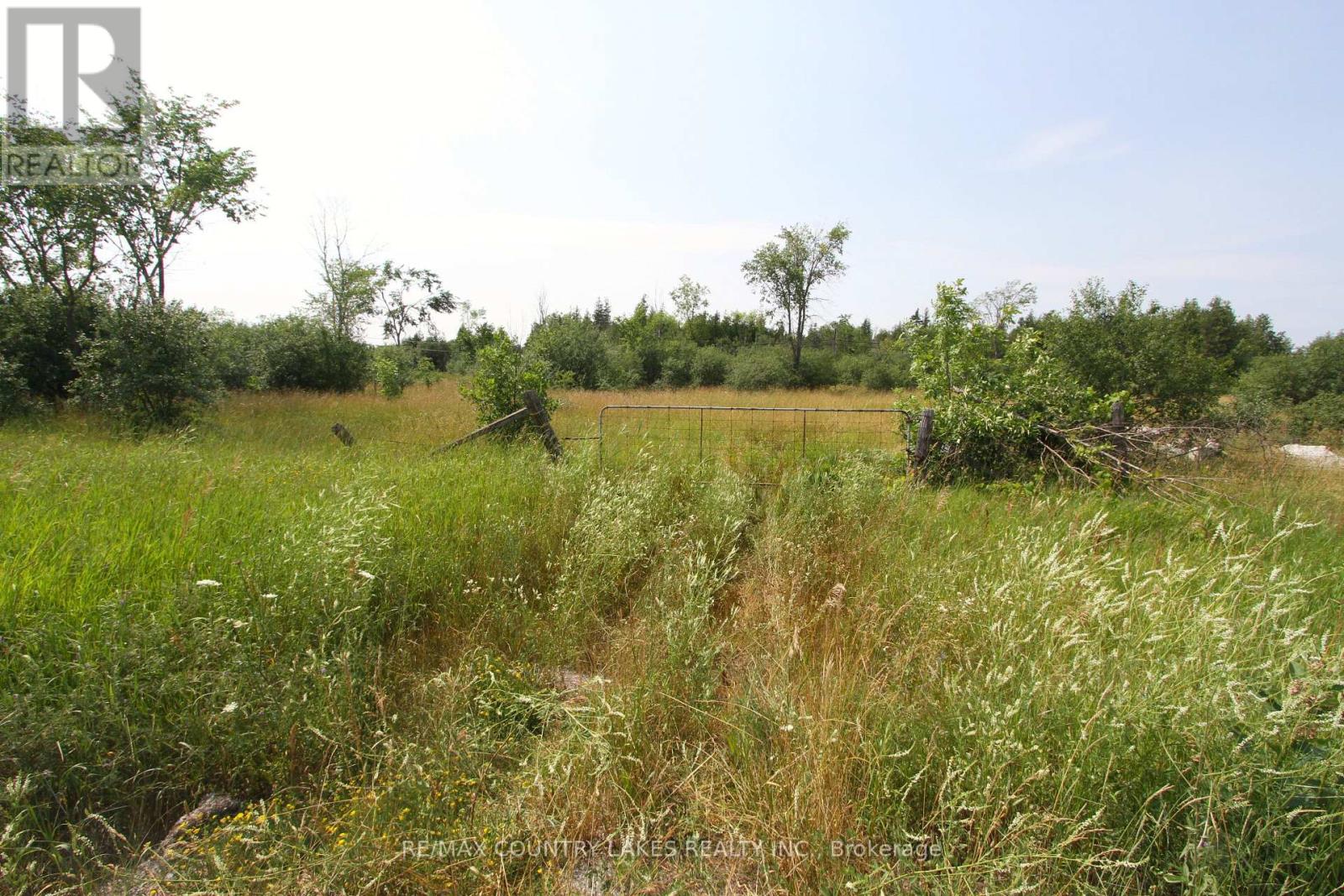Lt7 County Road 48 Property Photo 9