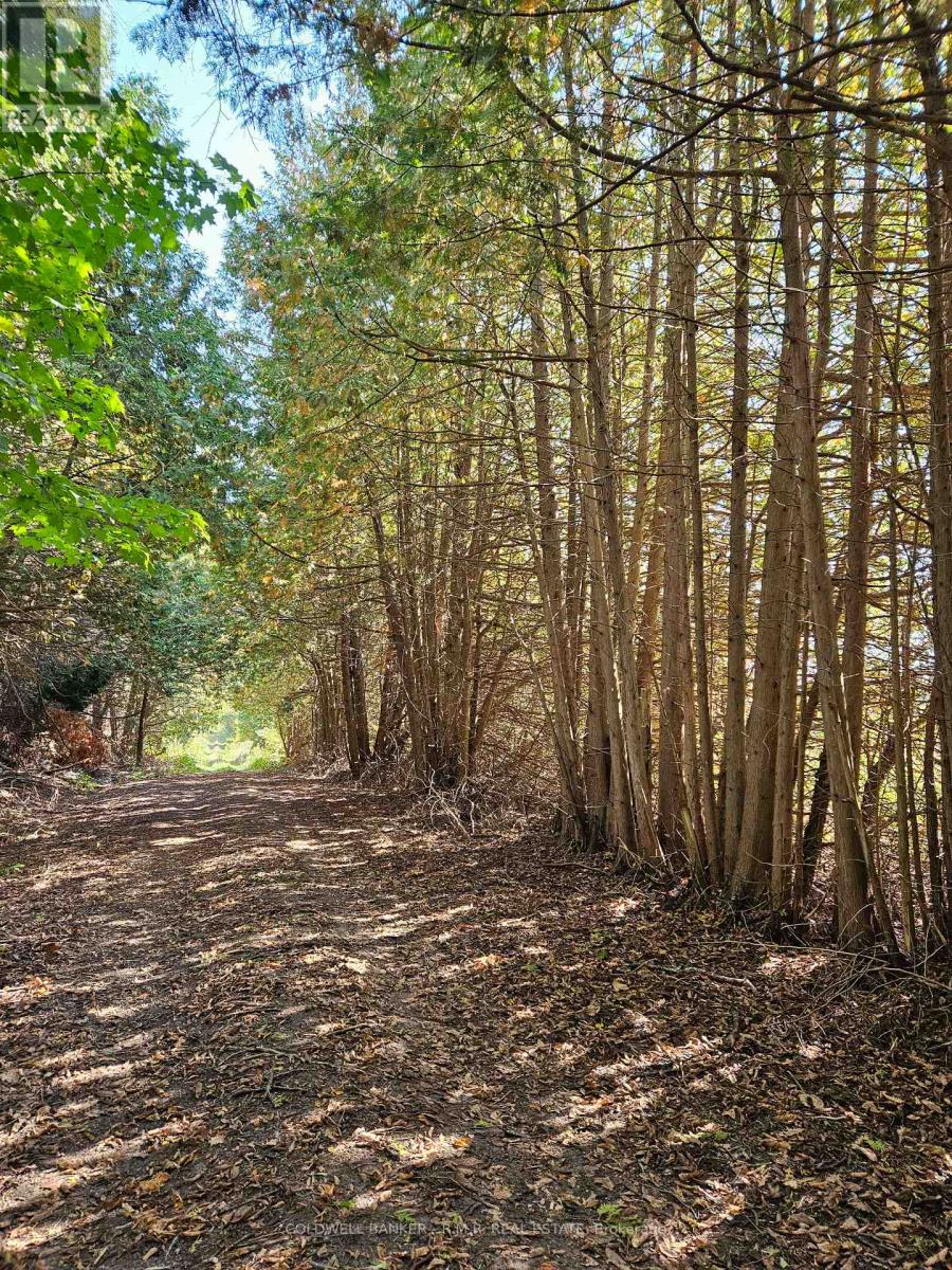 10400 And 10800 Concession 6 Road Property Photo 4