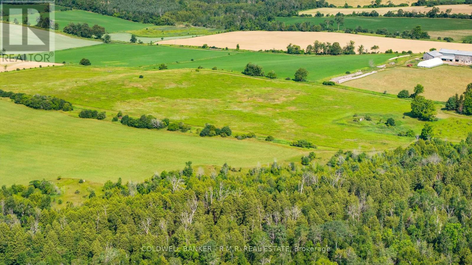 10400 And 10800 Concession 6 Road Property Photo 7