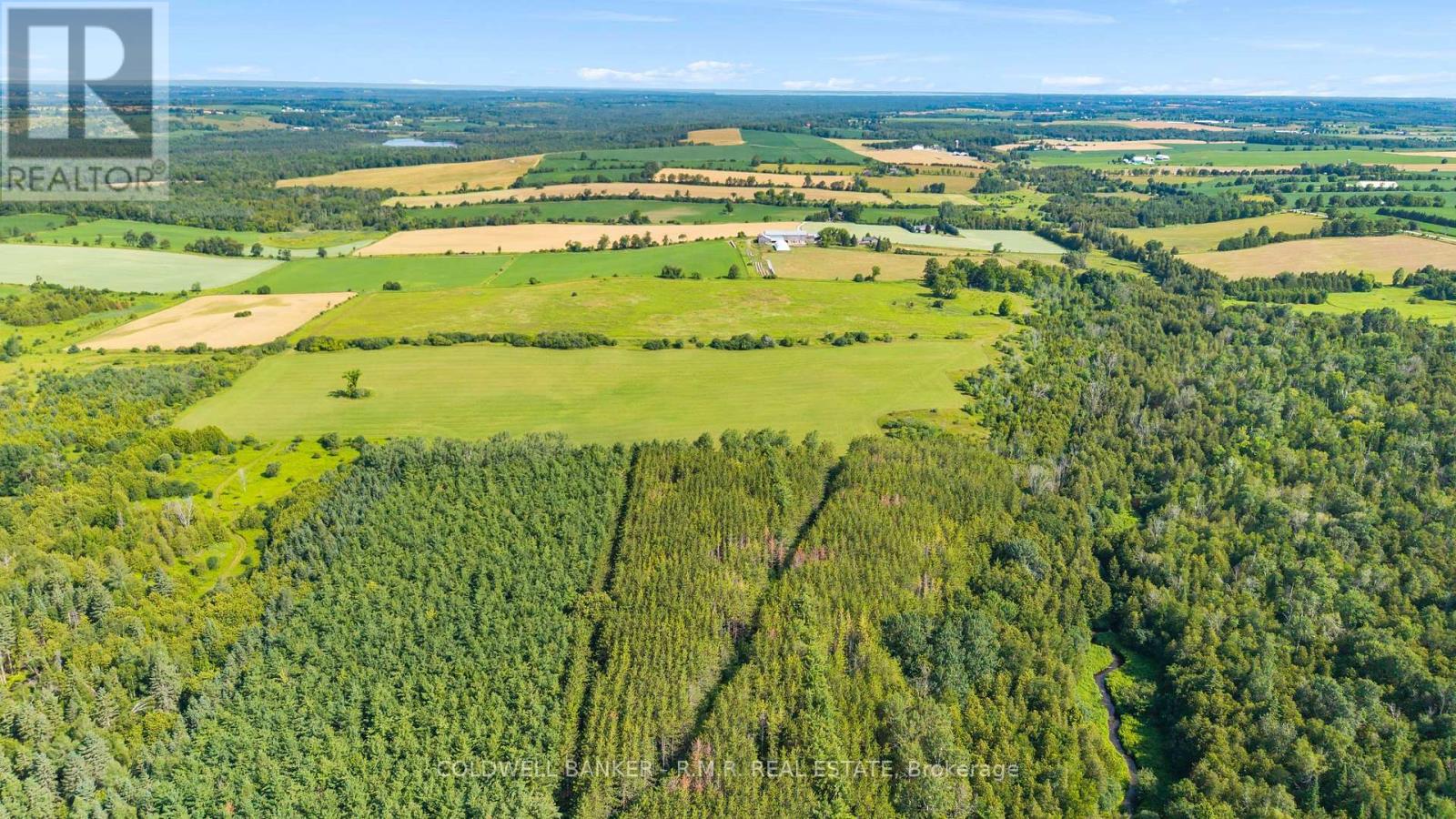 10400 And 10800 Concession 6 Road Property Photo 9