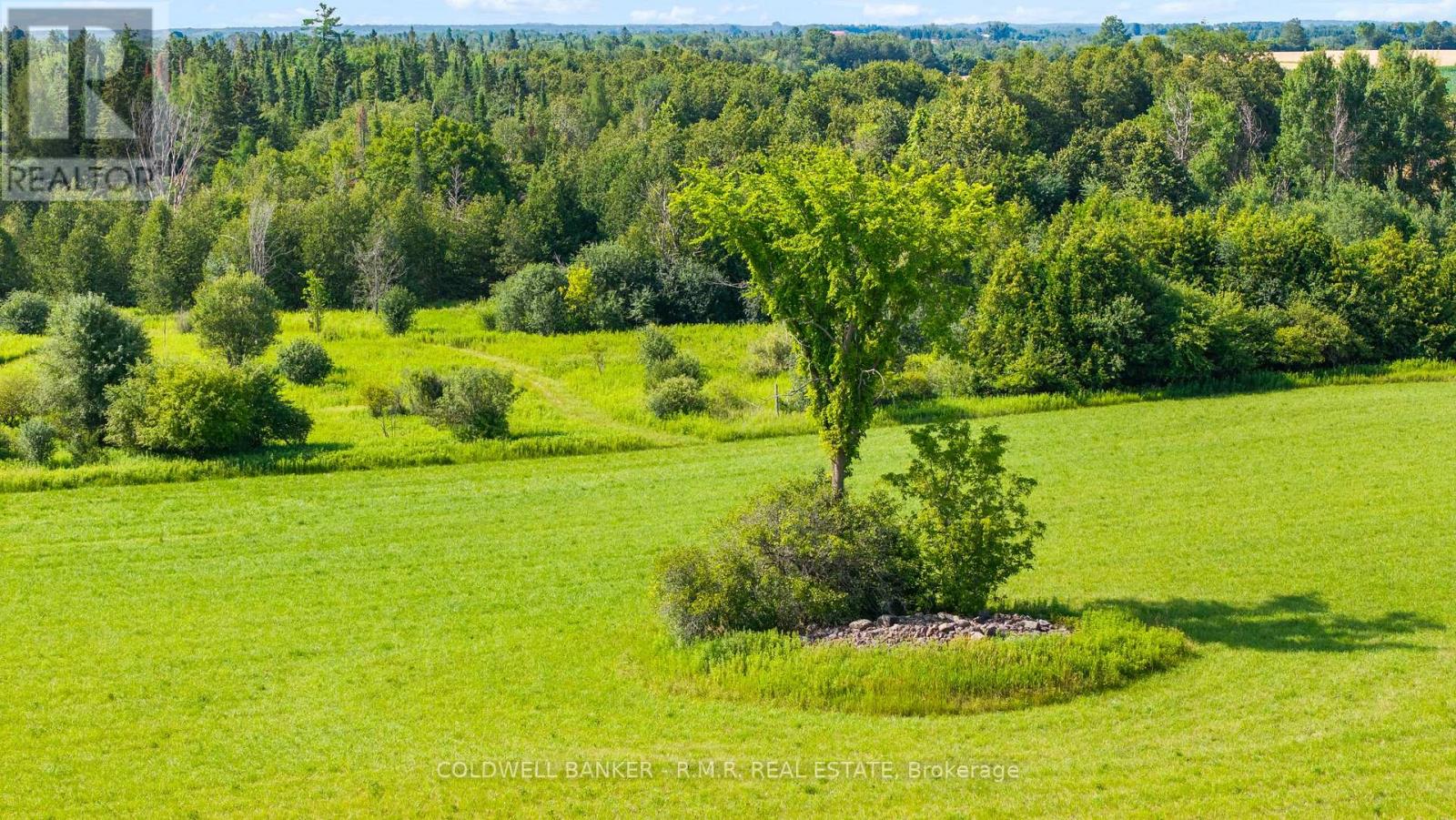 10400 And 10800 Concession 6 Road Property Photo 11