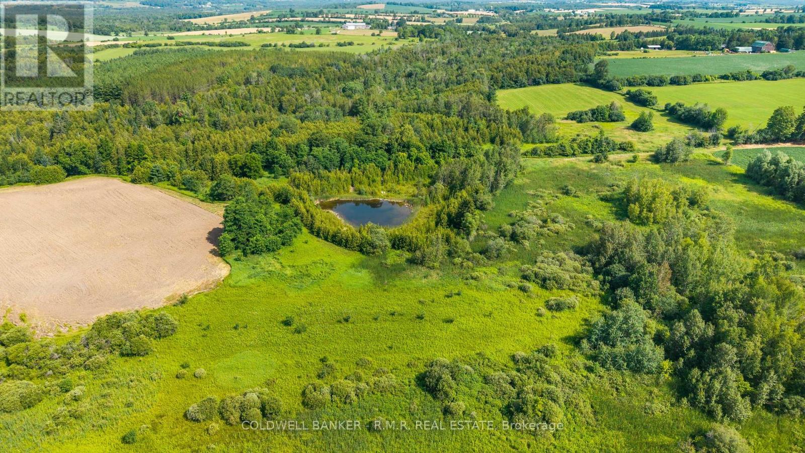 10400 And 10800 Concession 6 Road Property Photo 11