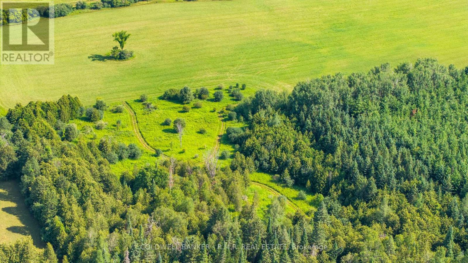 10400 And 10800 Concession 6 Road Property Photo 13