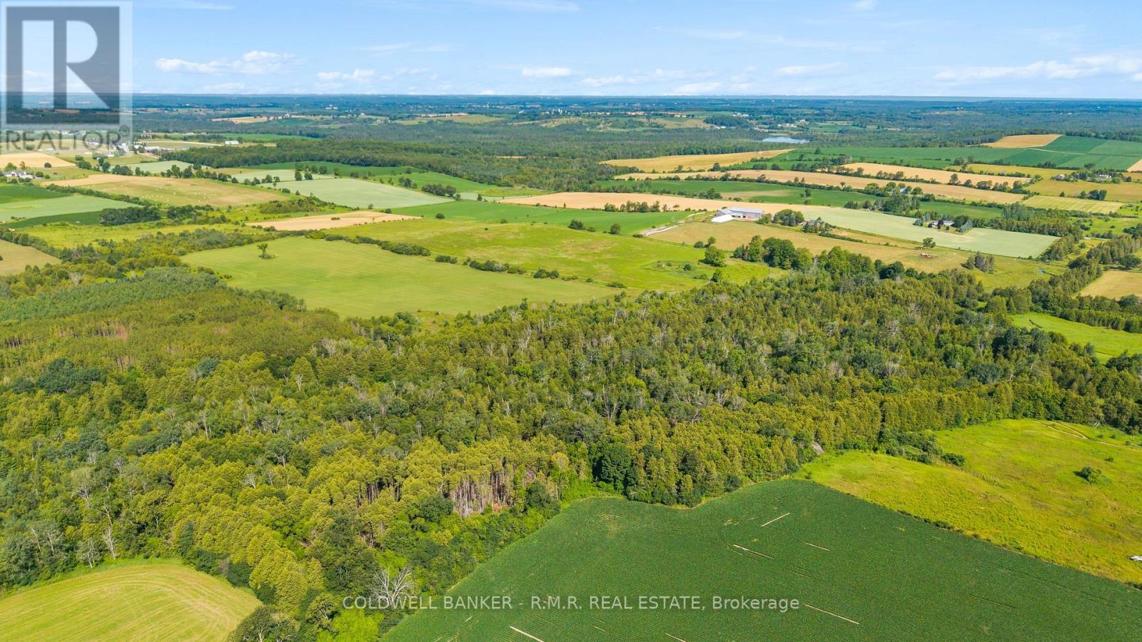 10400 And 10800 Concession 6 Road Property Photo 15