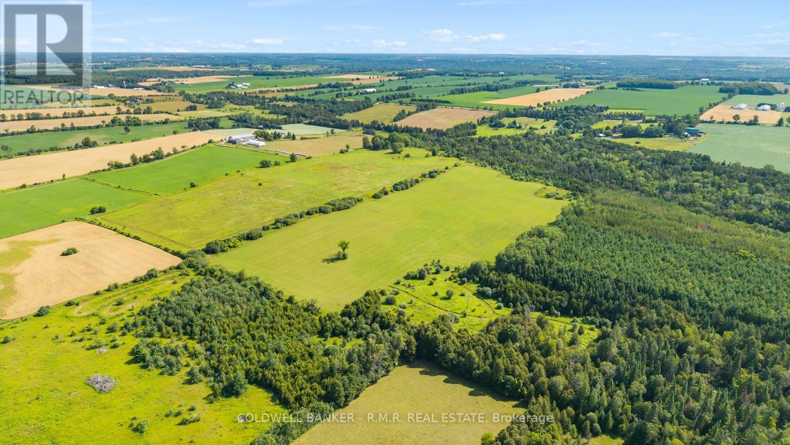 10400 And 10800 Concession 6 Road Property Photo 16