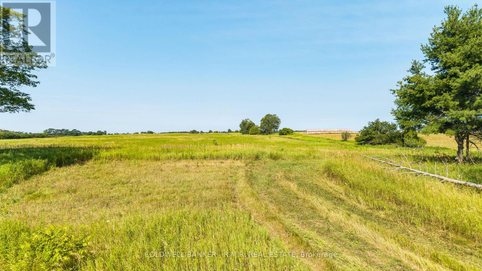 10400 And 10800 Concession 6 Road Property Photo 19