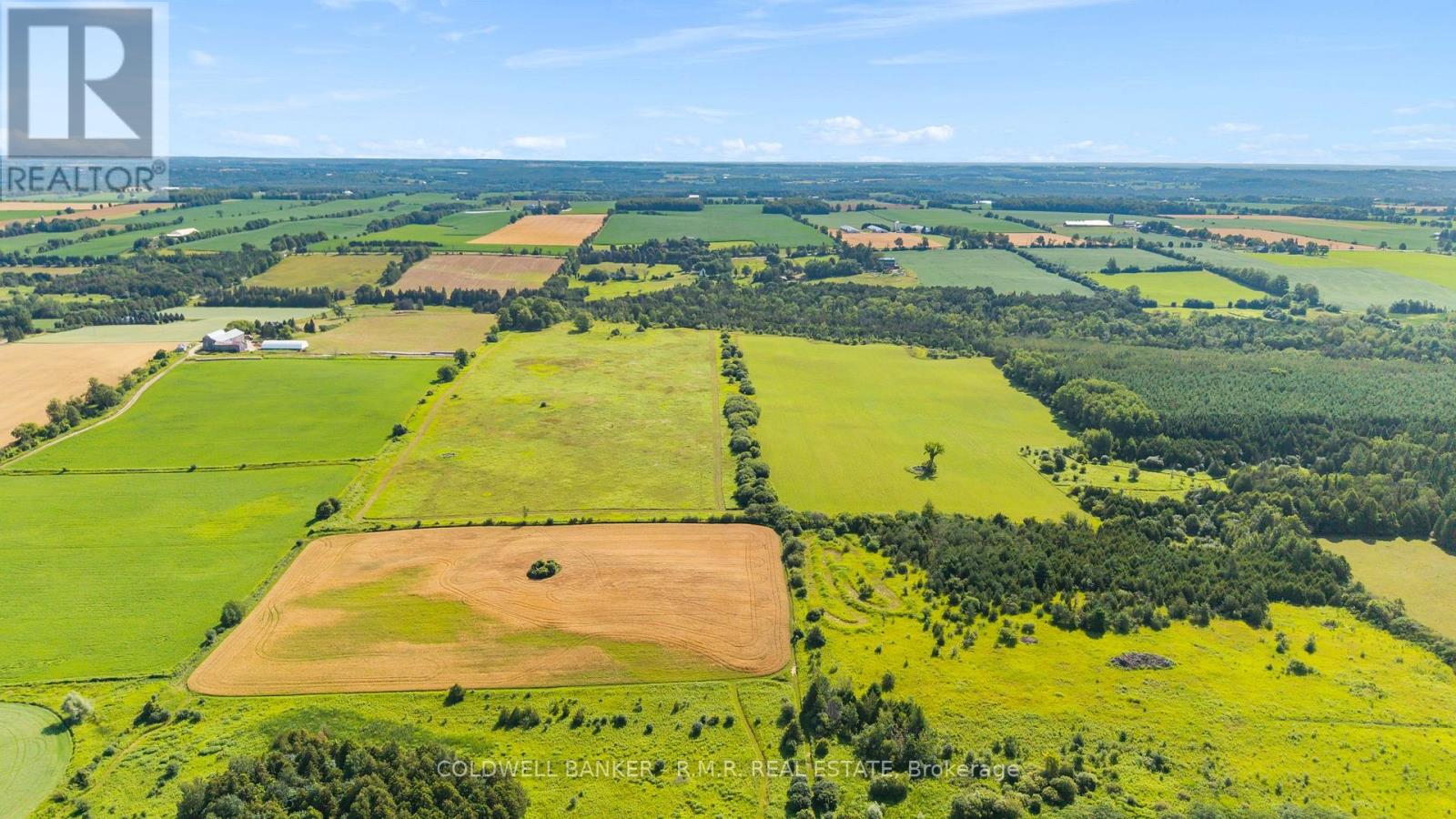 10400 And 10800 Concession 6 Road Property Photo 19