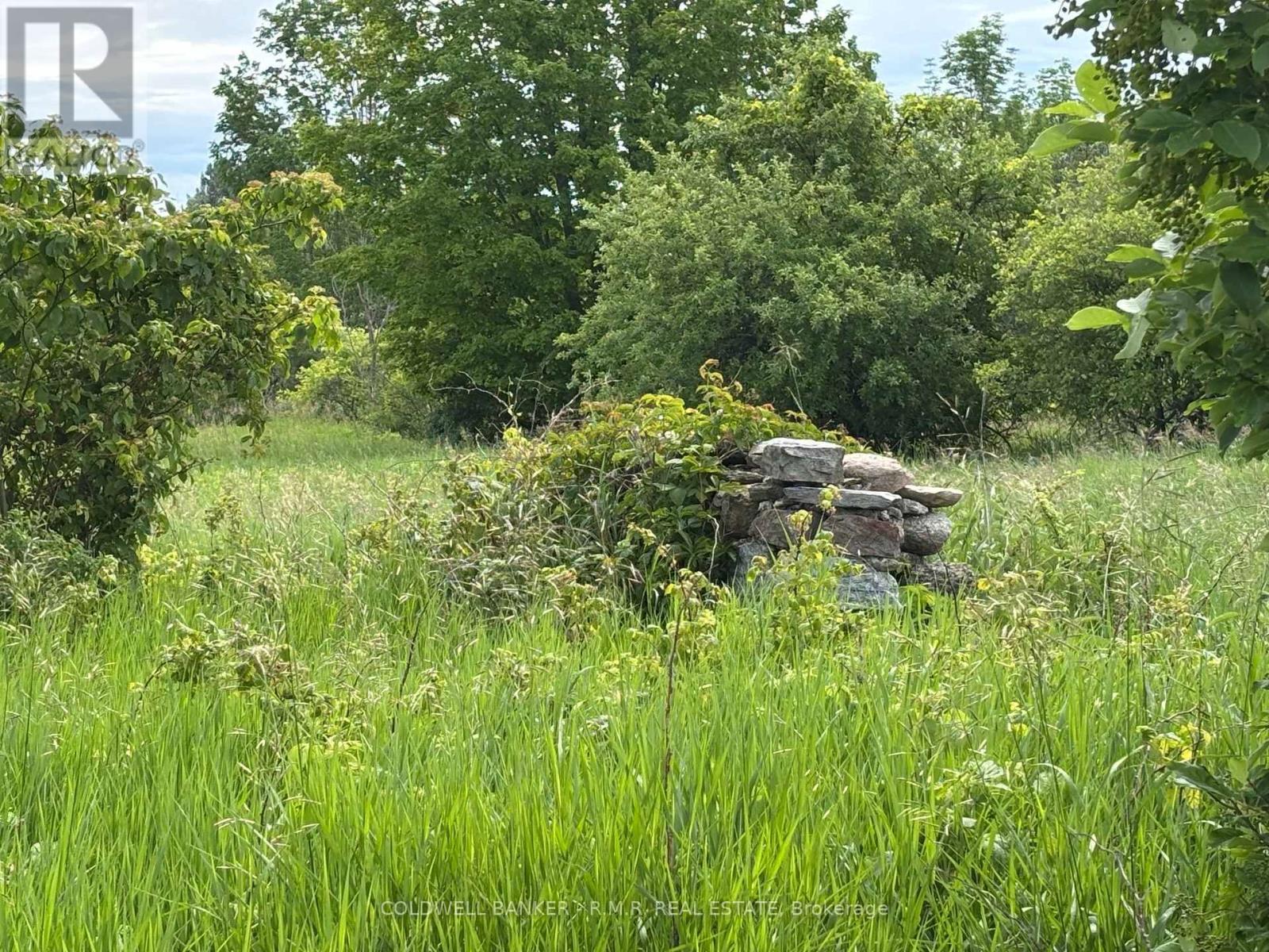 10400 And 10800 Concession 6 Road Property Photo 27