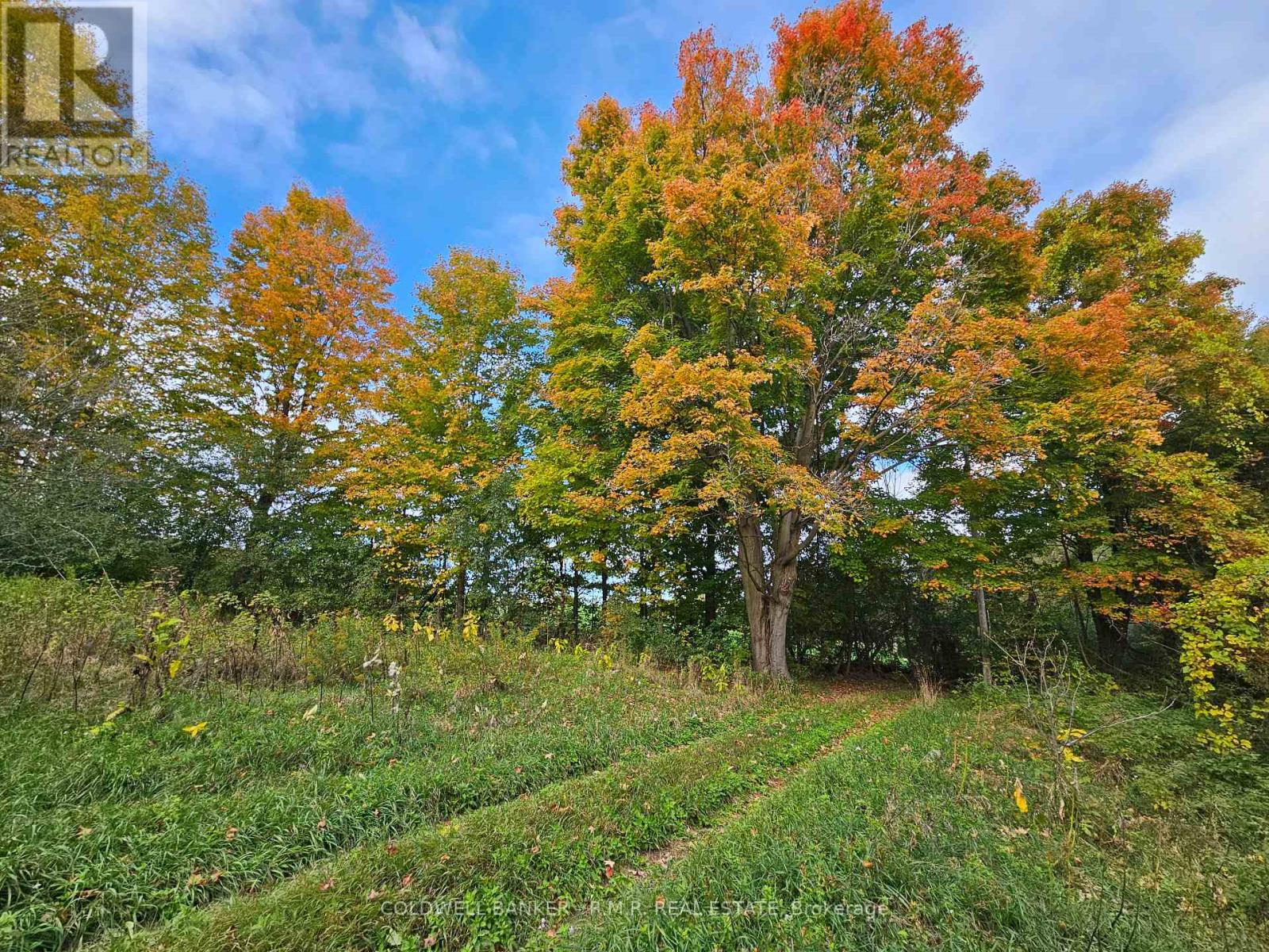 10400 And 10800 Concession 6 Road Property Photo 28