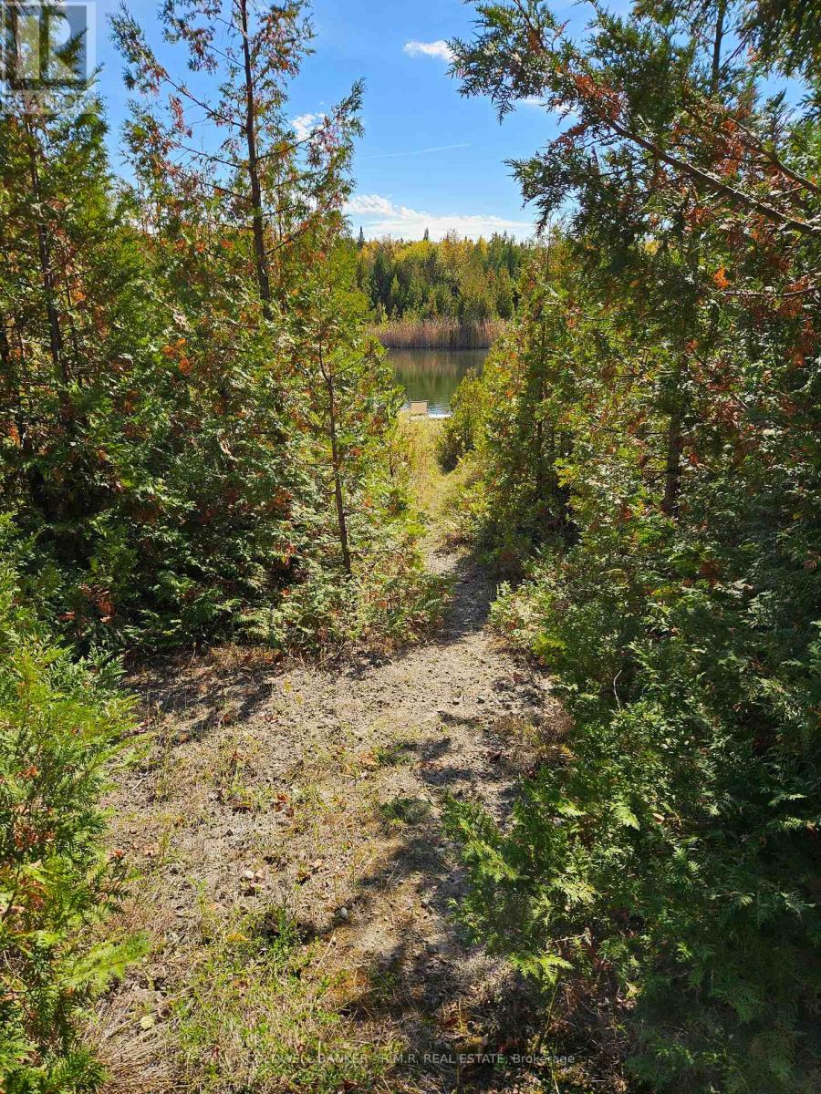 10400 And 10800 Concession 6 Road Property Photo 31