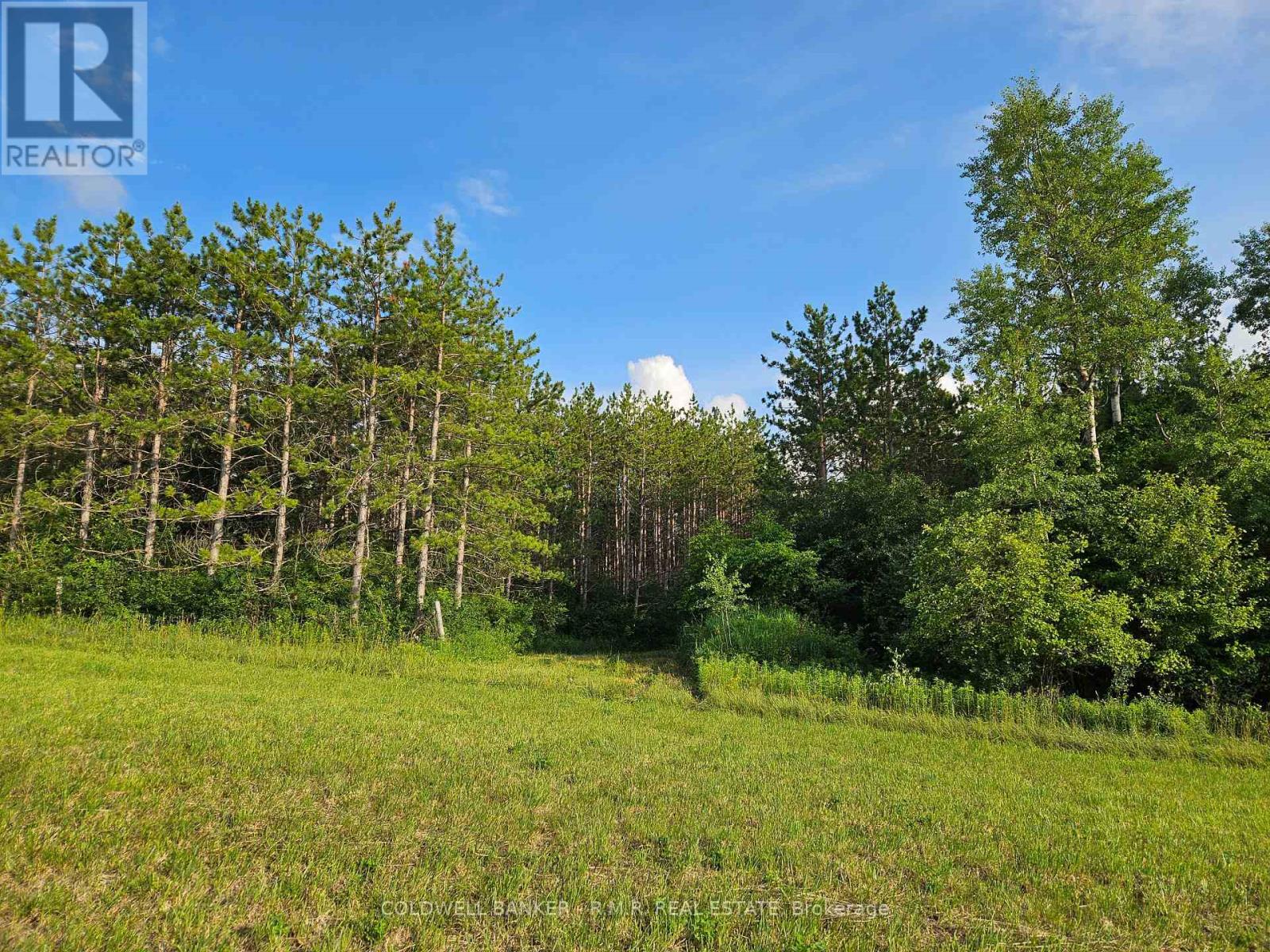 10400 And 10800 Concession 6 Road Property Photo 34