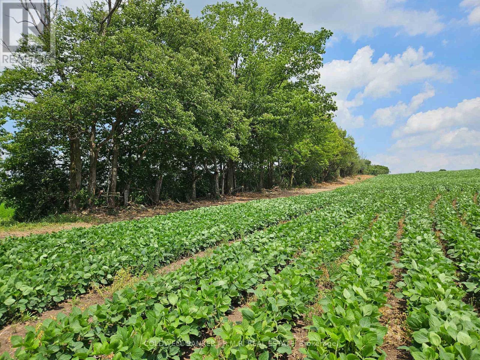 10400 And 10800 Concession 6 Road Property Photo 35