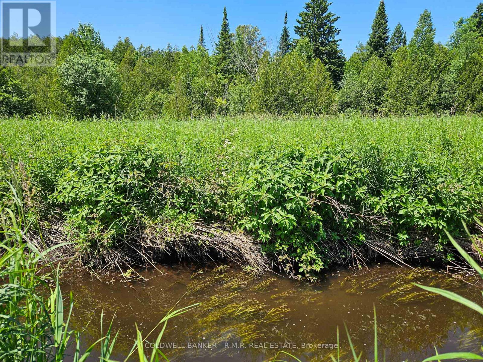 10400 And 10800 Concession 6 Road Property Photo 40