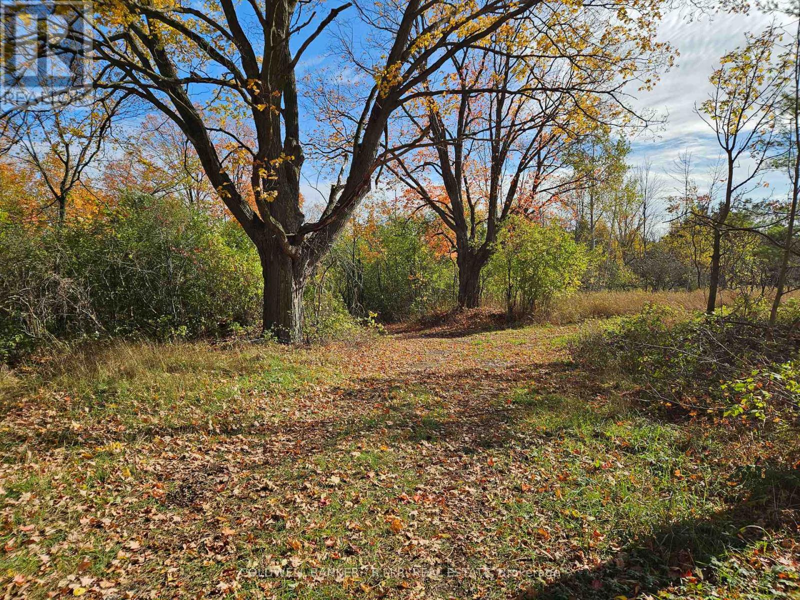 10400 And 10800 Concession 6 Road Property Photo 41