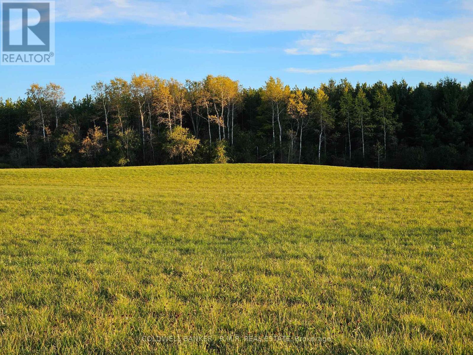 10400 And 10800 Concession 6 Road Property Photo 42