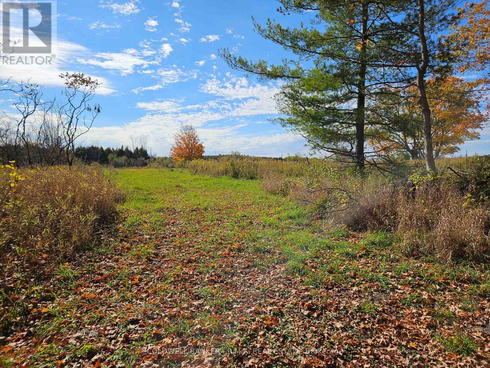 10400 And 10800 Concession 6 Road Property Photo 43