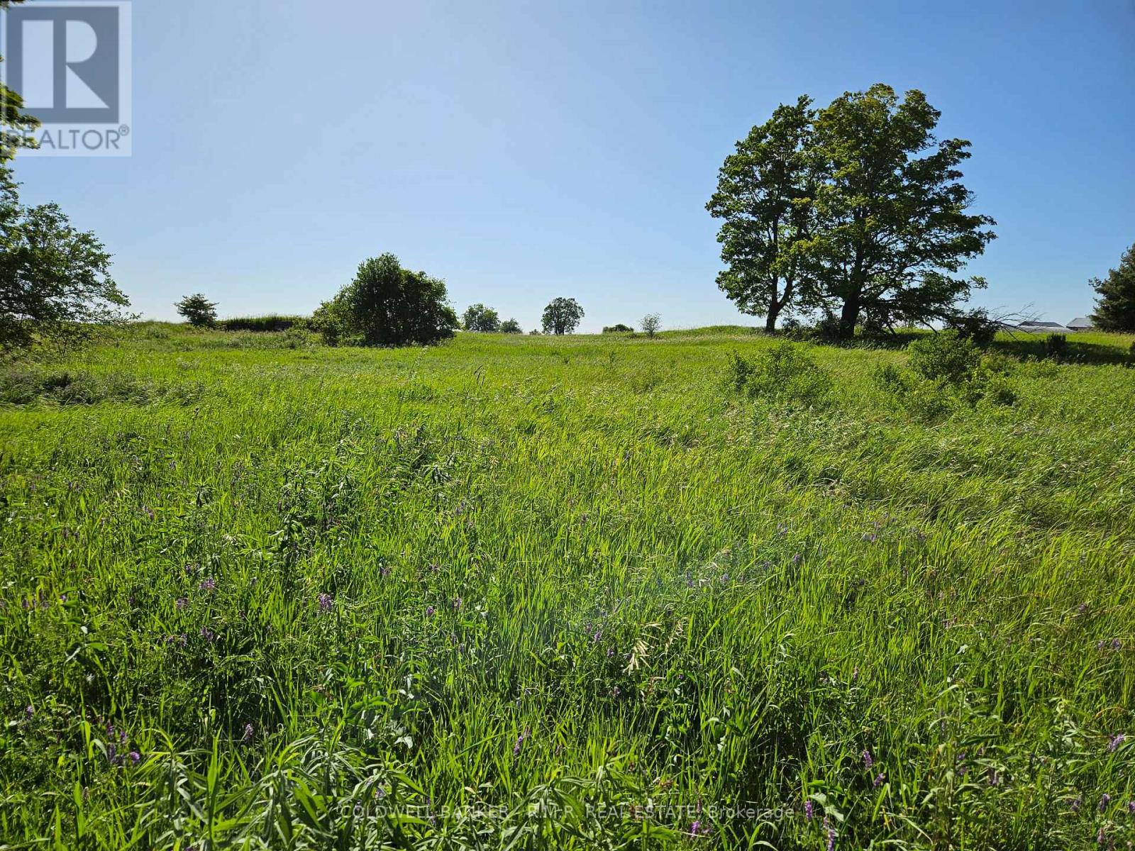 10400 And 10800 Concession 6 Road Property Photo 44