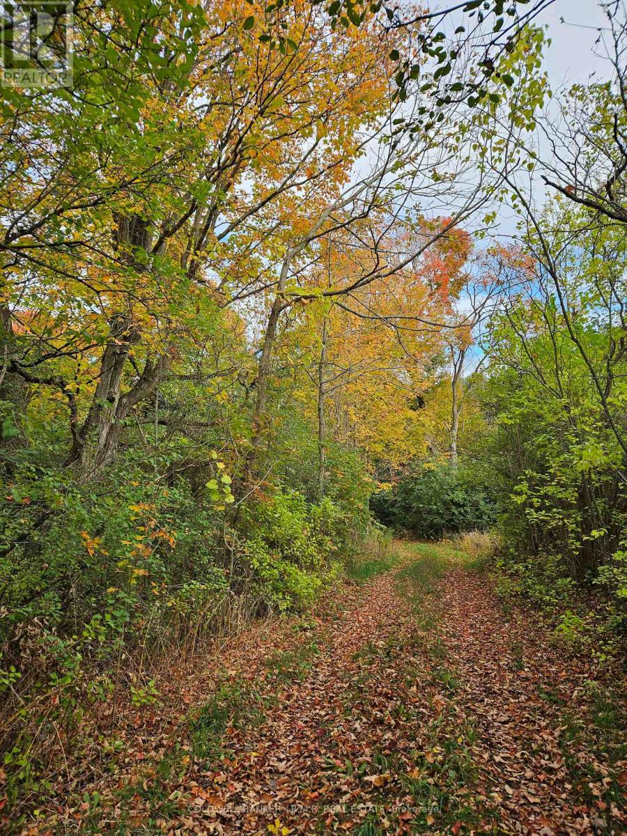 10400 And 10800 Concession 6 Road Property Photo 46
