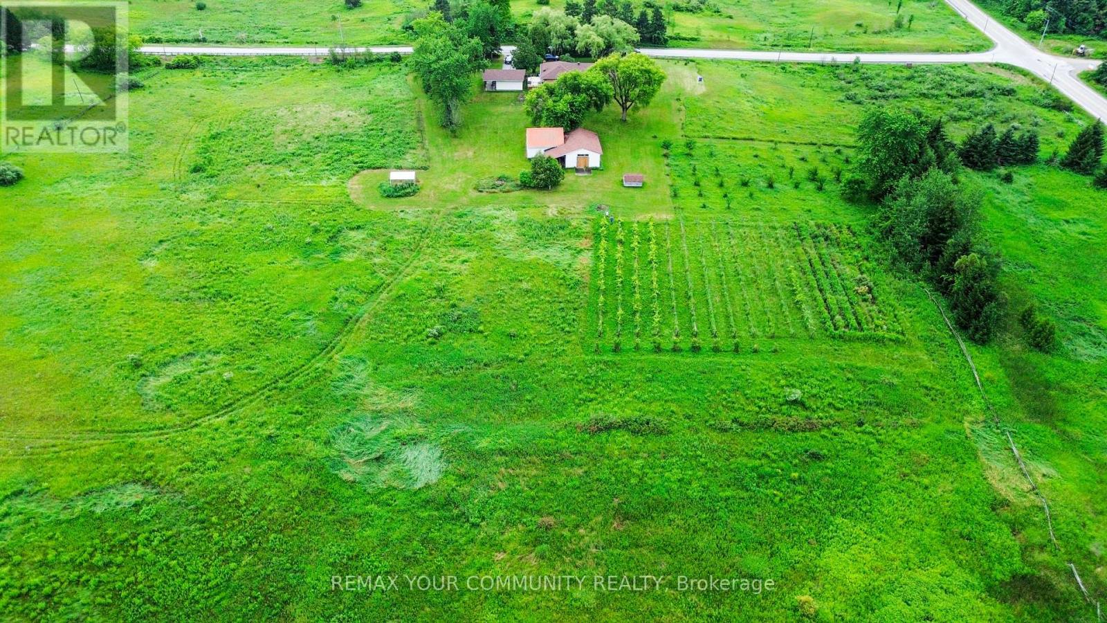 2950 17th Side Road Property Photo 5