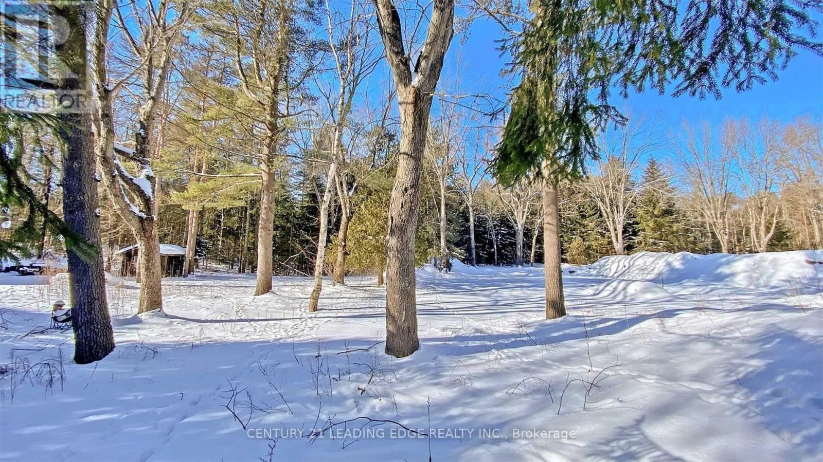 4035 Aurora Road Property Photo 20